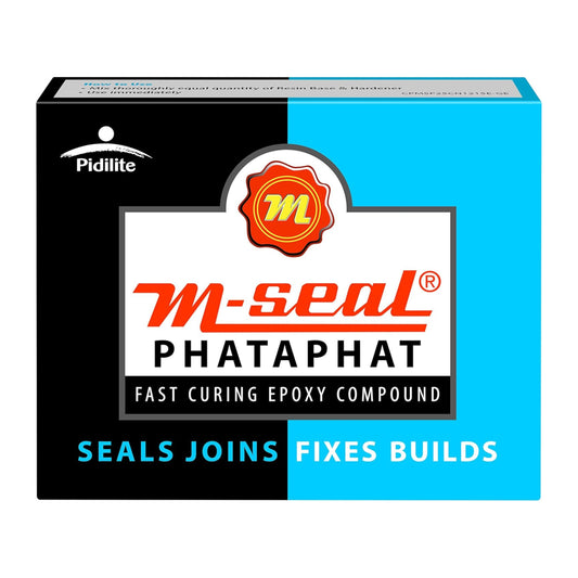 25 g Pidilite M Seal Fast epoxy