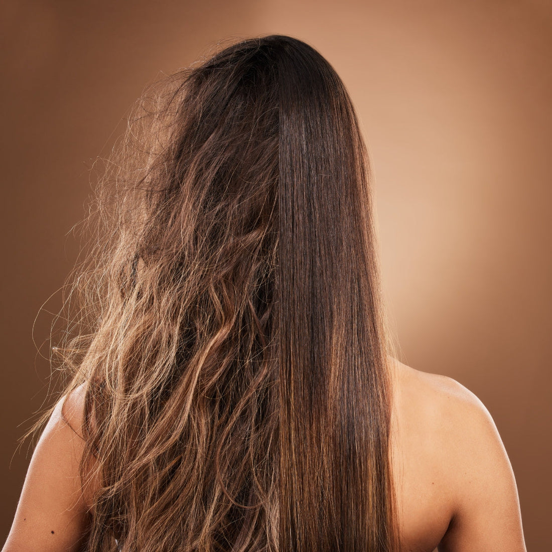 Aloe Vera Powder For Diffrent Diffrent  Types of Hair